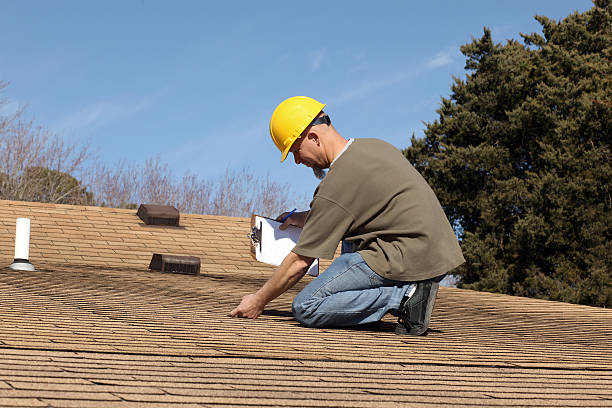 Roof Moss and Algae Removal